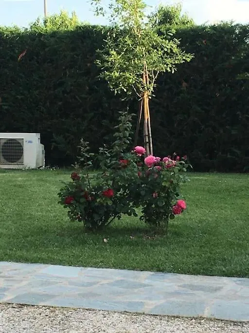 Sotto la luna Casa in campagna Castel Bolognese Appartamento