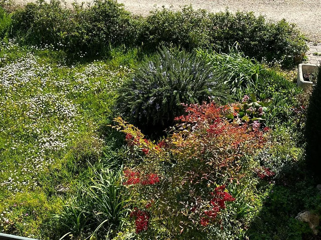 Sotto la luna Casa in campagna Castel Bolognese Appartamento